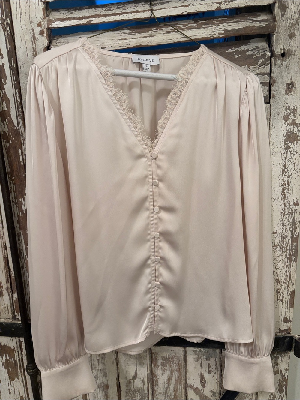 Evereve Lace-Trim V-Neck Button Front Blouse in Blush